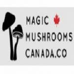 Magic Canada Profile Picture