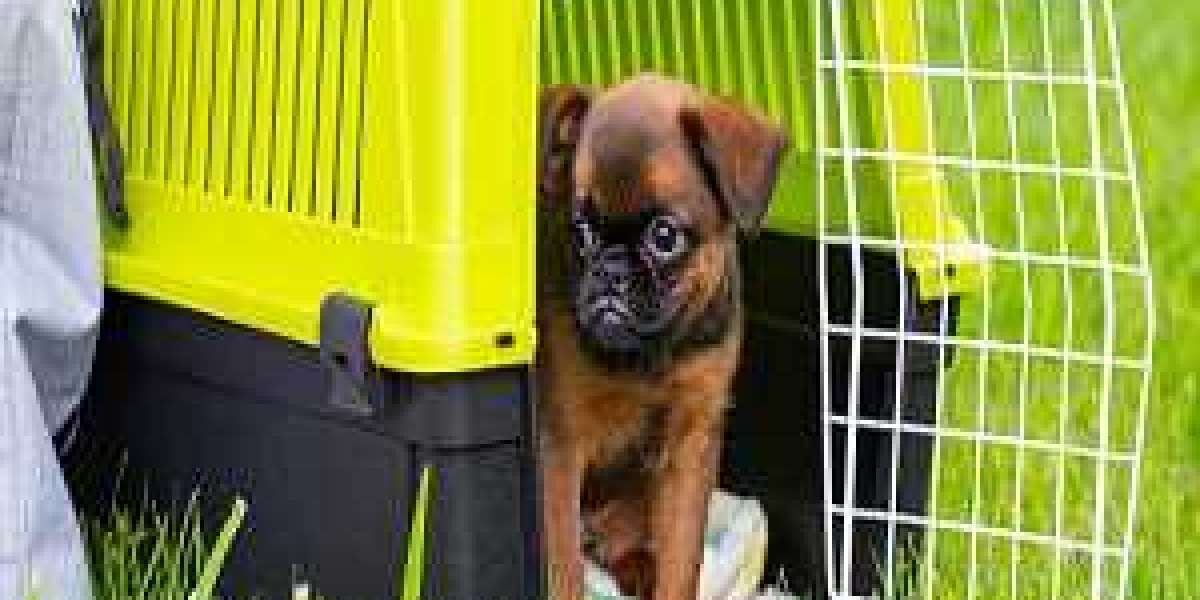 Pet Carriers Market Innovative Product Launches to Boost the Market Growth