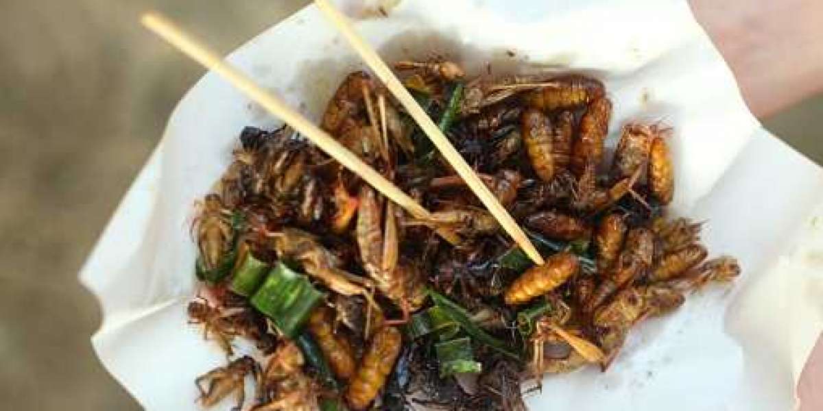 Insect Snacks Market Size Business Opportunities, Top Manufacture, Growth, Share Report, Regional Analysis and Global Fo