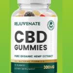 Rejuvenate CBD Gummies Profile Picture