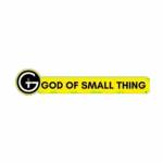 God of Small Thing Profile Picture