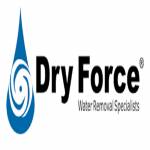 dry force Profile Picture