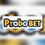 Probobet Probobet Profile Picture