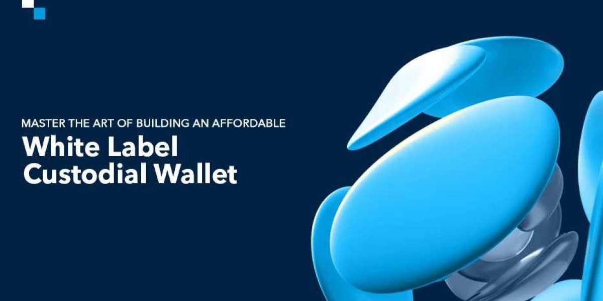How to Develop a Cost-Effective White Label Custodial Wallet
