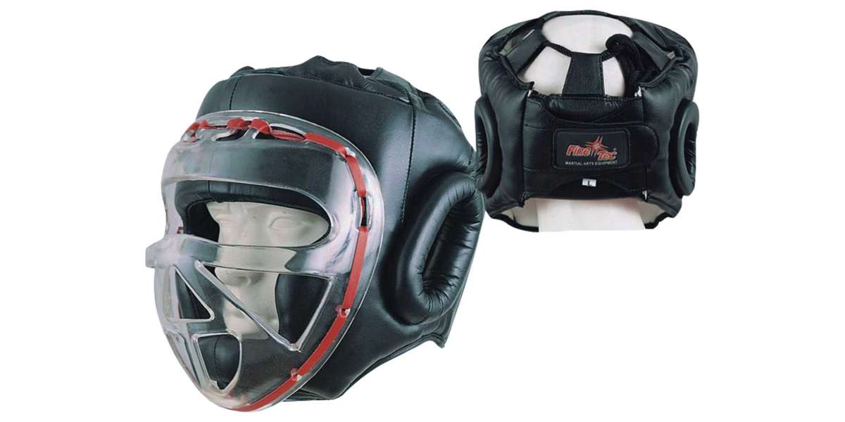 "Stay Protected and Aware: Exploring Sparring Head Guards with Transparent Face Shields"