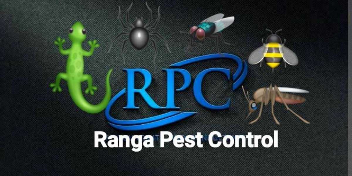 Pest Control in Rewari