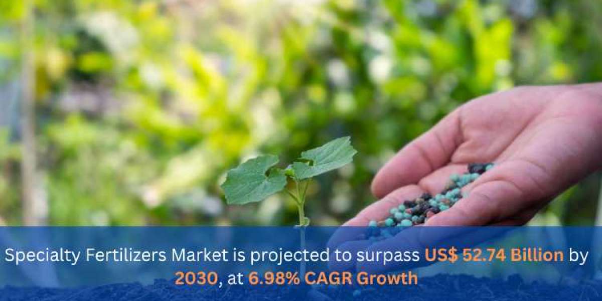 Specialty Fertilizer Market Analysis Forecast 2024- 2030