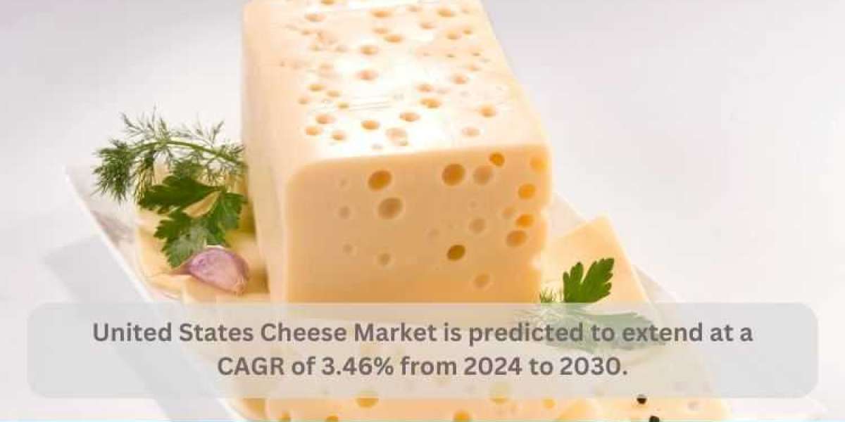 United States Cheese Market Analysis Forecast 2024- 2030