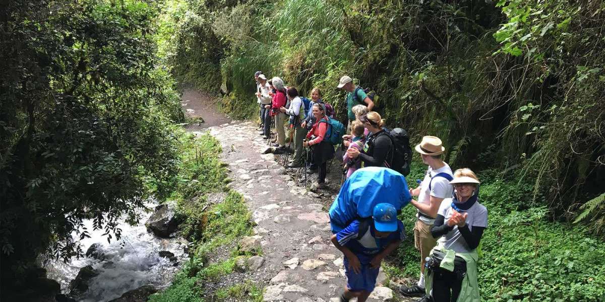 Discover the Magic of the Camino Inca to Machu Picchu – Your 2025 Peru Adventure Awaits!